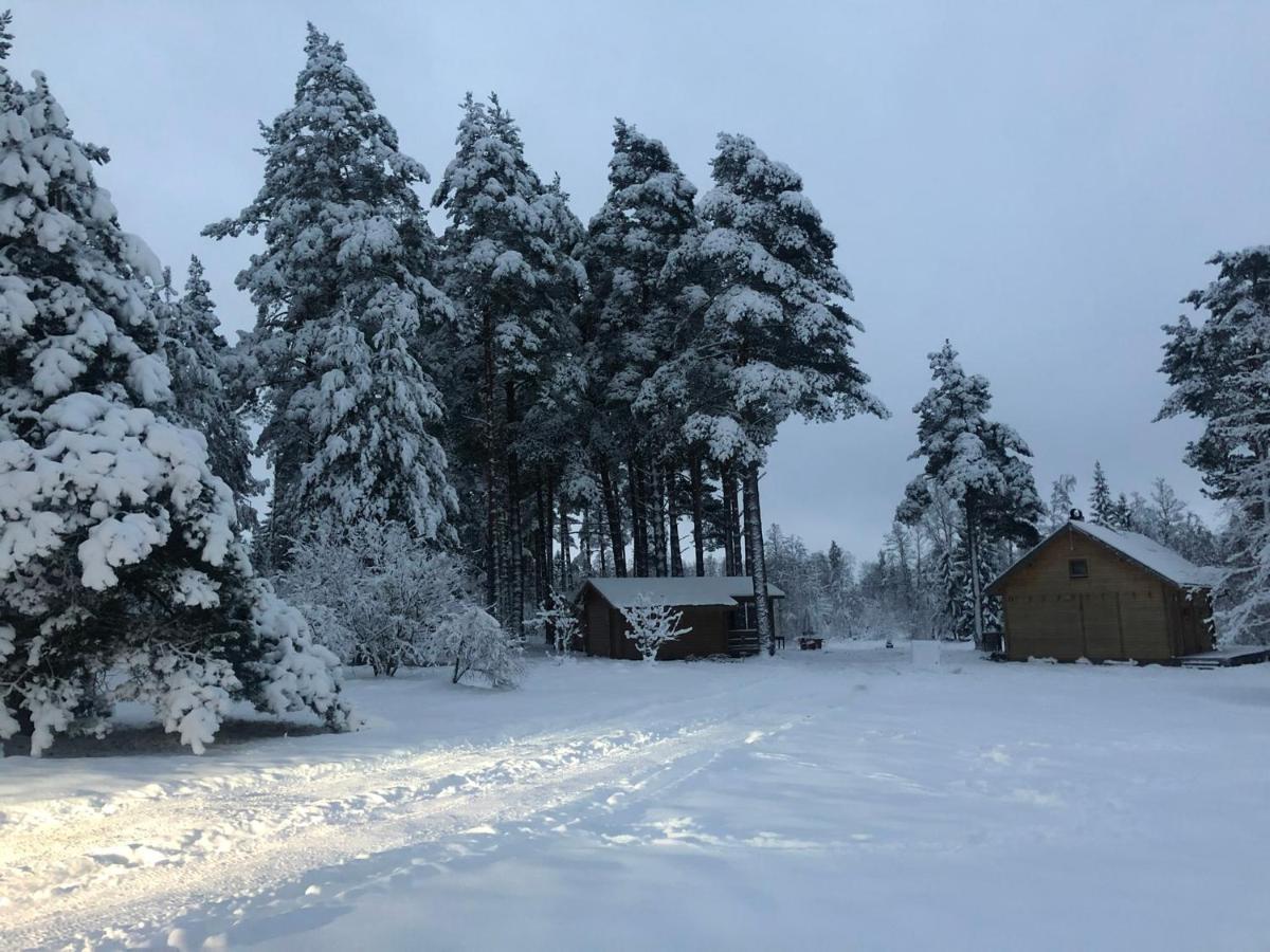 Arturi Maja Saunaga Villa Romeda Dış mekan fotoğraf